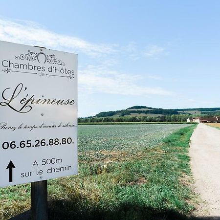 Chambre D'Hote L'Epineuse Venarey-les-Laumes Exterior foto